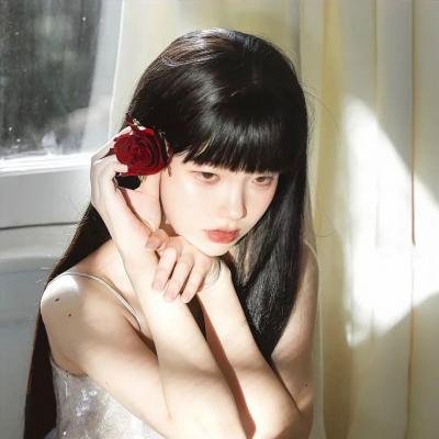 变形金刚08动画版第一季